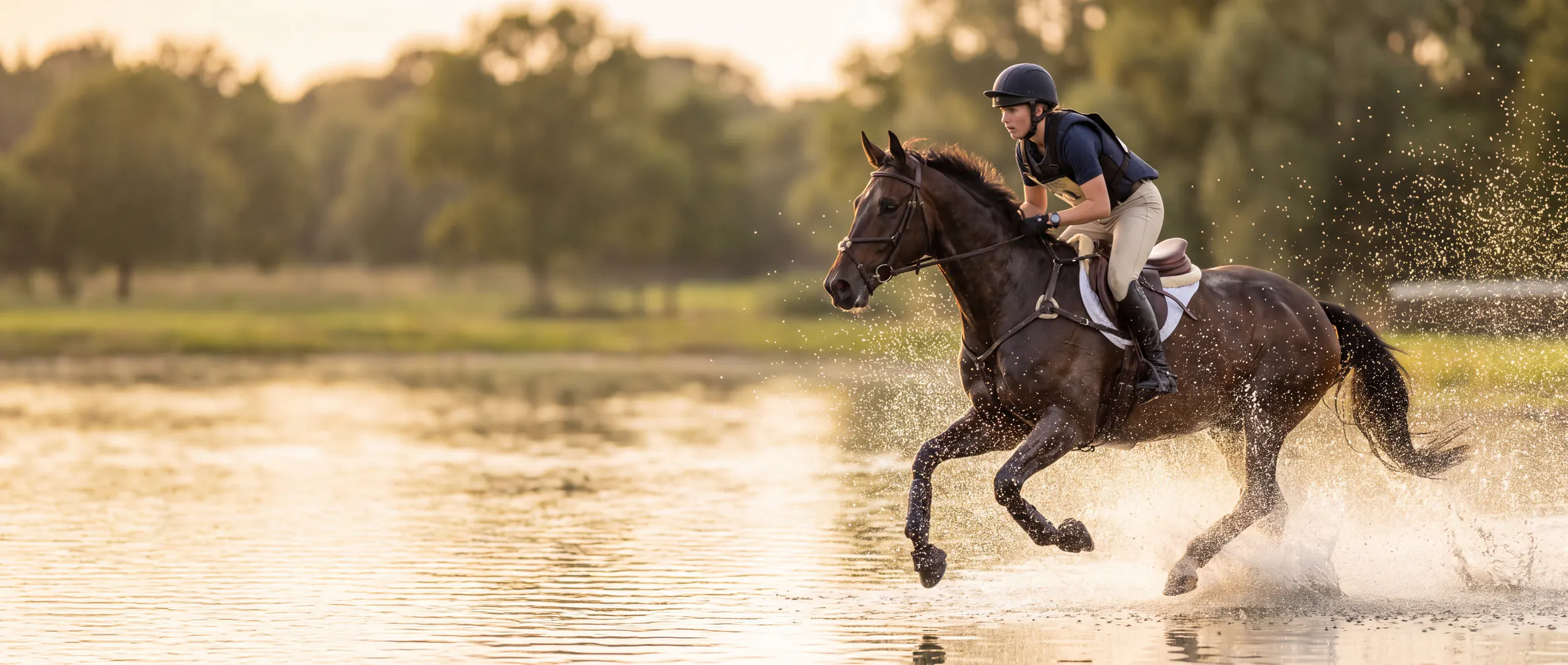 Rytter og sportshest i galop gennem vandet på en militarybane